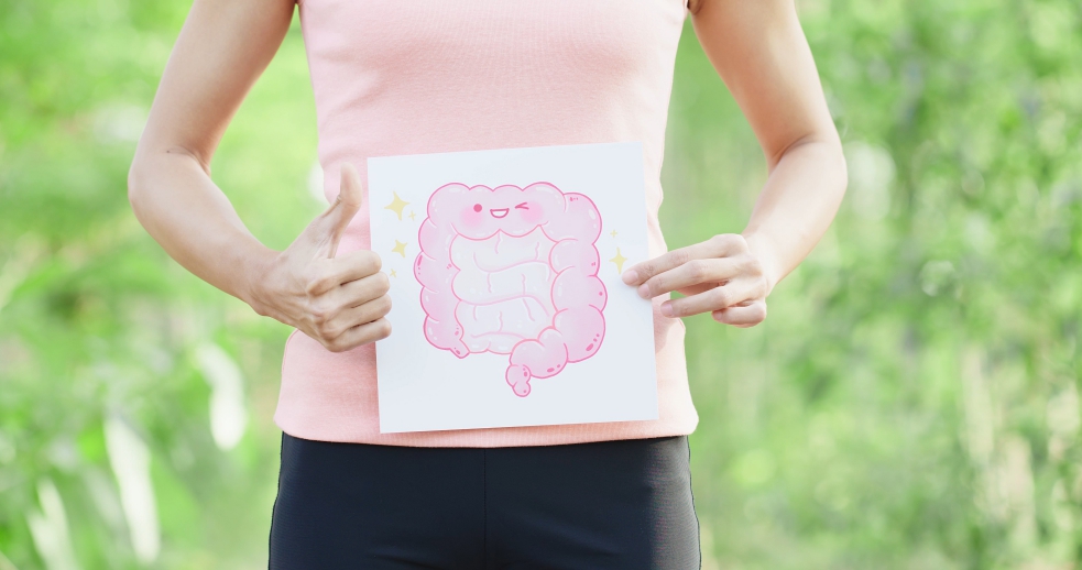 腸のイメージ図を持つ女性